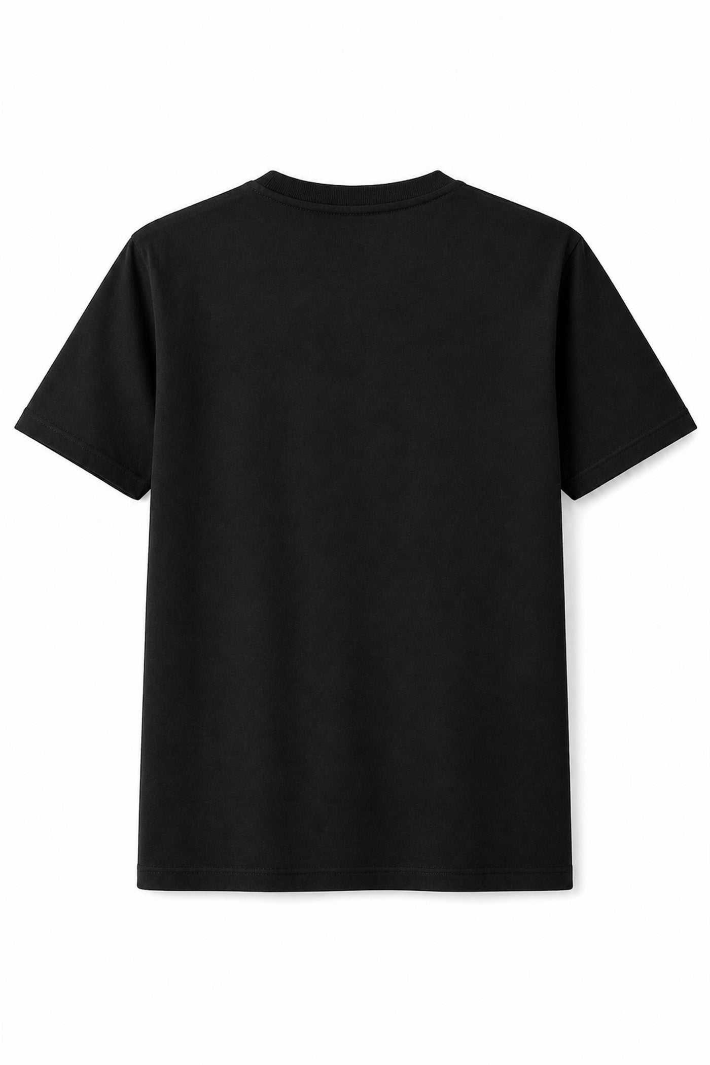 Plain back view of black Panjab heritage unisex T-shirt.