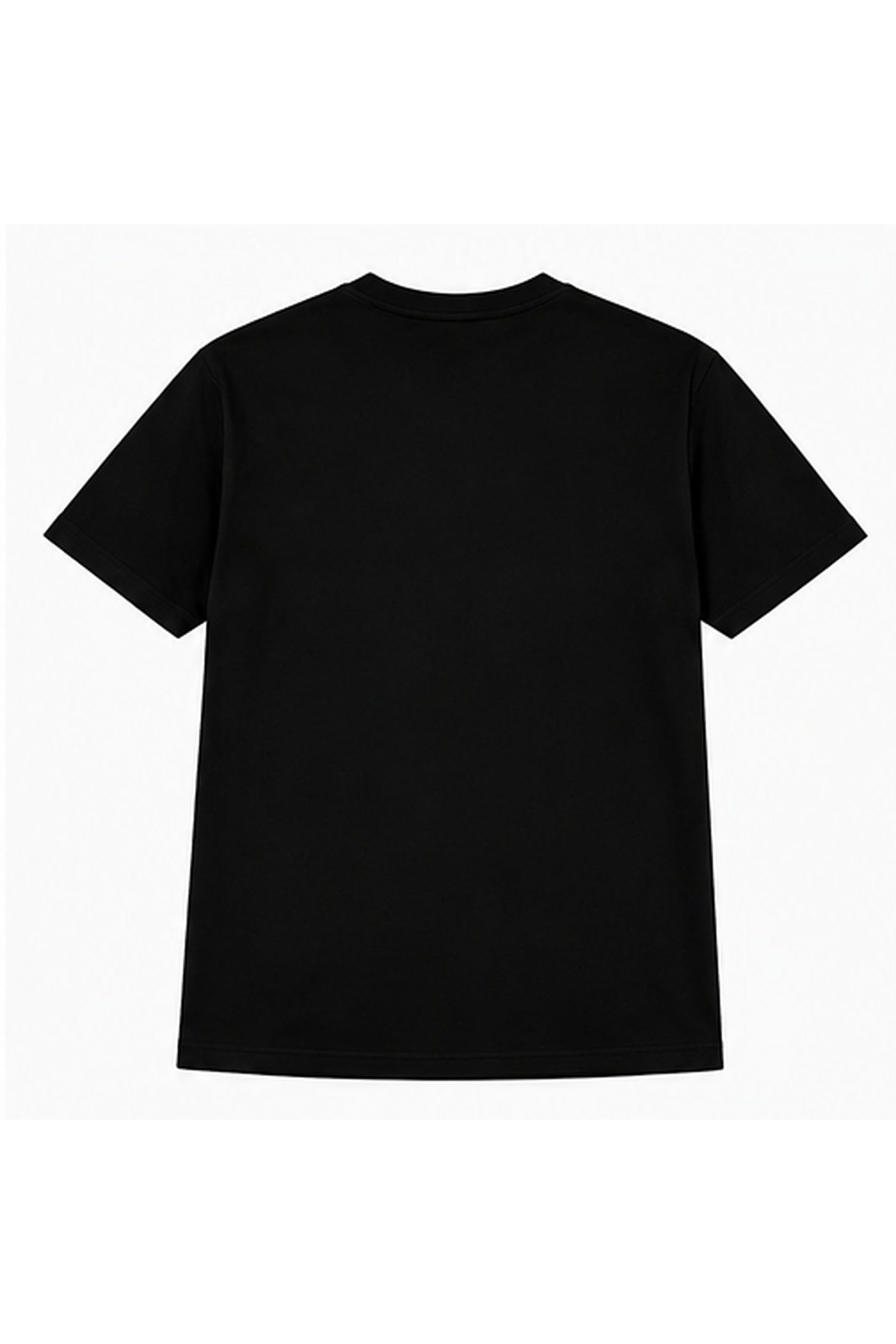 Plain back view of black Straight Outta Punjab cotton T-shirt.
